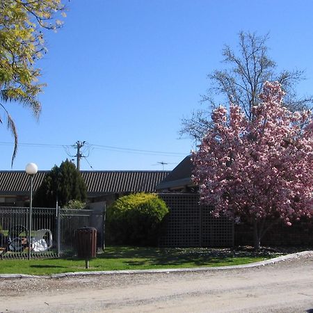 Belvoir Village Motel & Apartments Wodonga Bagian luar foto