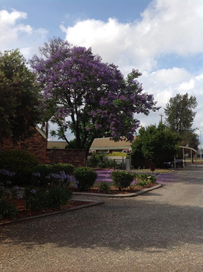 Belvoir Village Motel & Apartments Wodonga Bagian luar foto