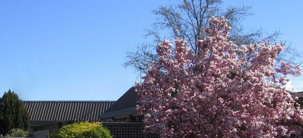 Belvoir Village Motel & Apartments Wodonga Bagian luar foto