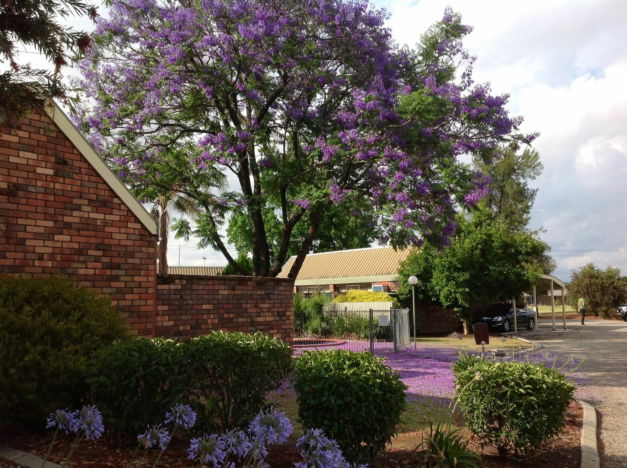 Belvoir Village Motel & Apartments Wodonga Bagian luar foto